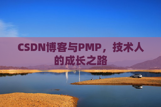 CSDN博客与PMP，技术人的成长之路